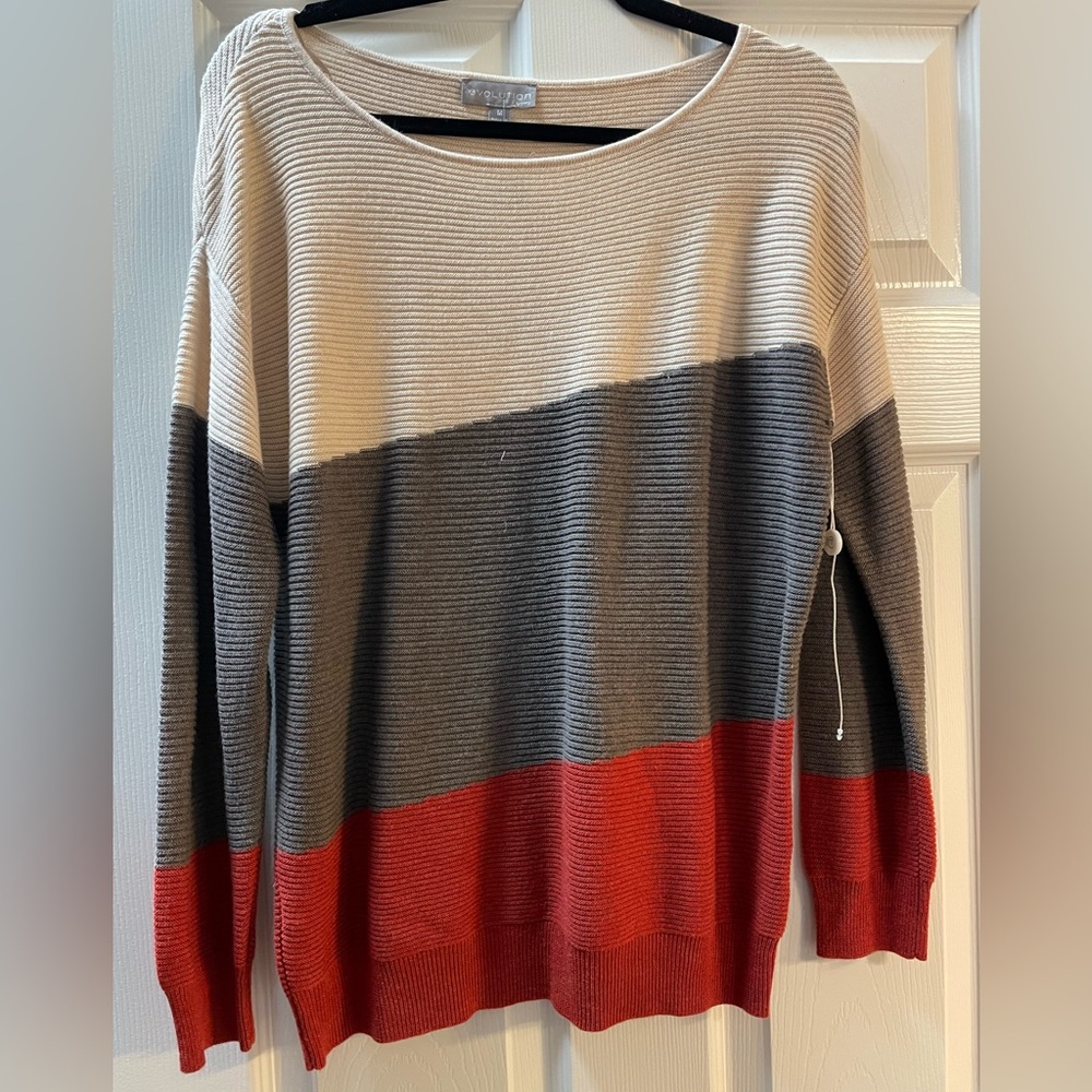 NWT Evolution by Cyrus Colorblock Sweater